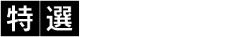 特選グランドサークルツアー