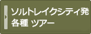 ユタ州ソルトレイクシティ発各種ツアー