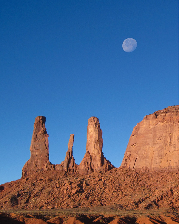 pimirin 作家 チャイナヘッド テディベア ハンドメンド バレー Amazon | HANDA DIY 絵画 流体 ベア テディベア 暴力的なベア 憂鬱な