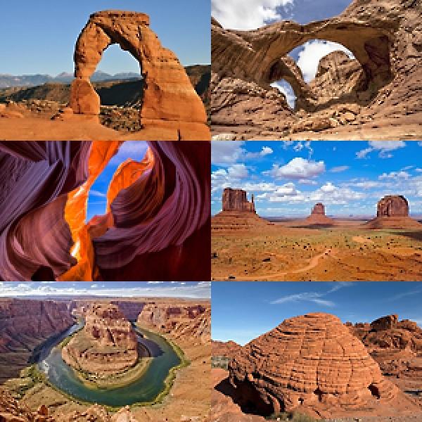 追加入園料不要の新ツアー