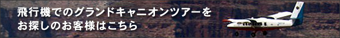 飛行機でのグランドキャニオンツアーをお探しのお客様はこちら